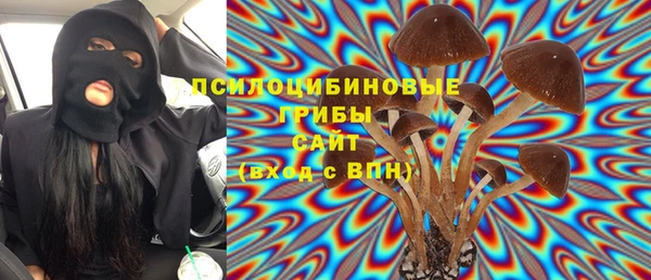 мдпв Армянск